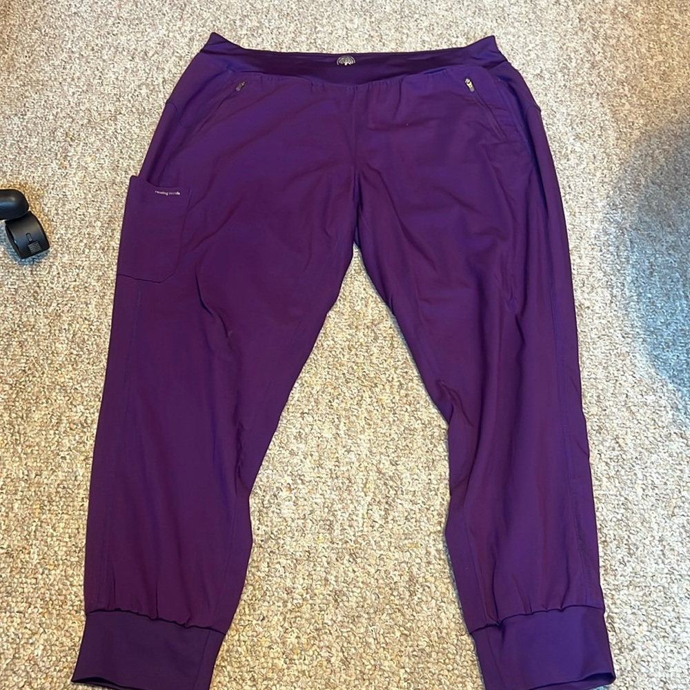 Healing Hands Purple Label Tara Jogger Scrub Pants